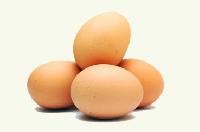 Jak si vejce udret dlouho erstv 