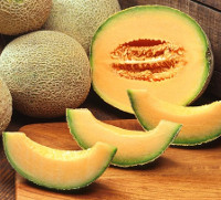 ananasov meloun